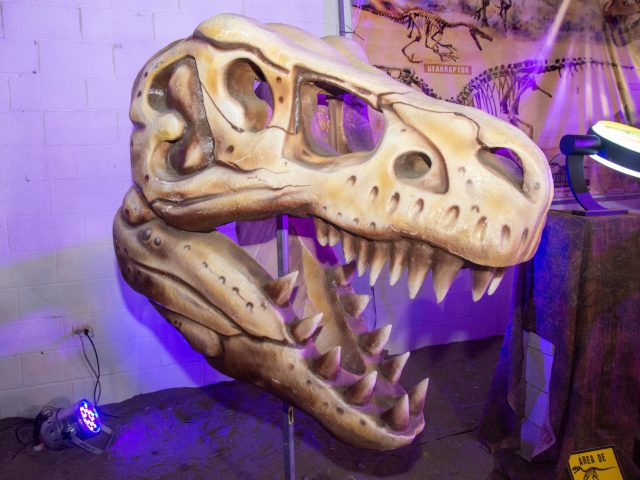 Calavera de dinosaurio